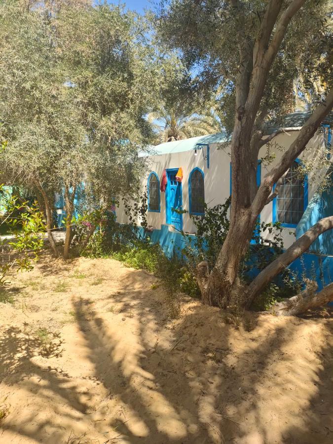 Panta Lodge Siwa بنتا لودج سيوة Siwa Oasis Экстерьер фото