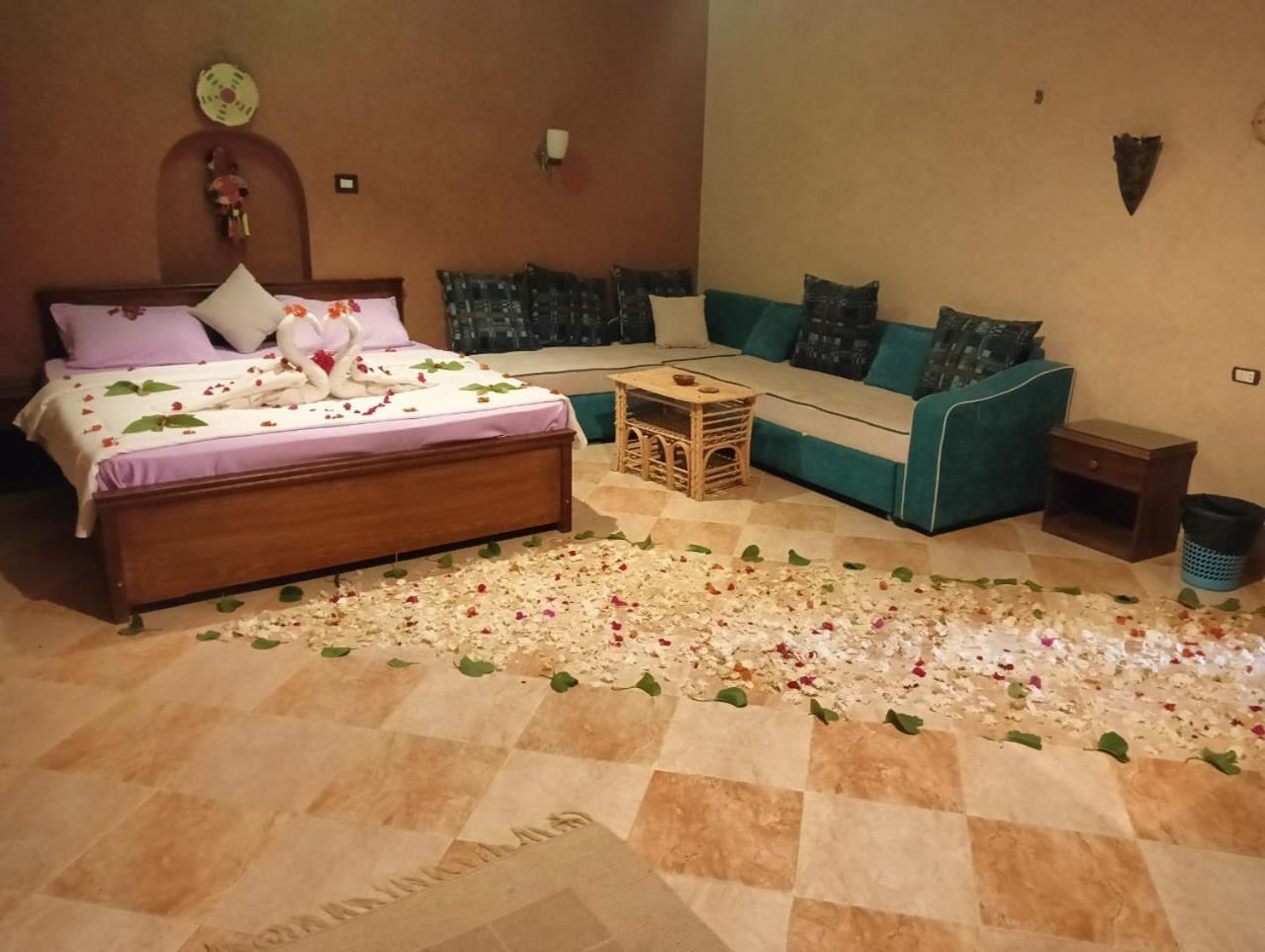 Panta Lodge Siwa بنتا لودج سيوة Siwa Oasis Экстерьер фото