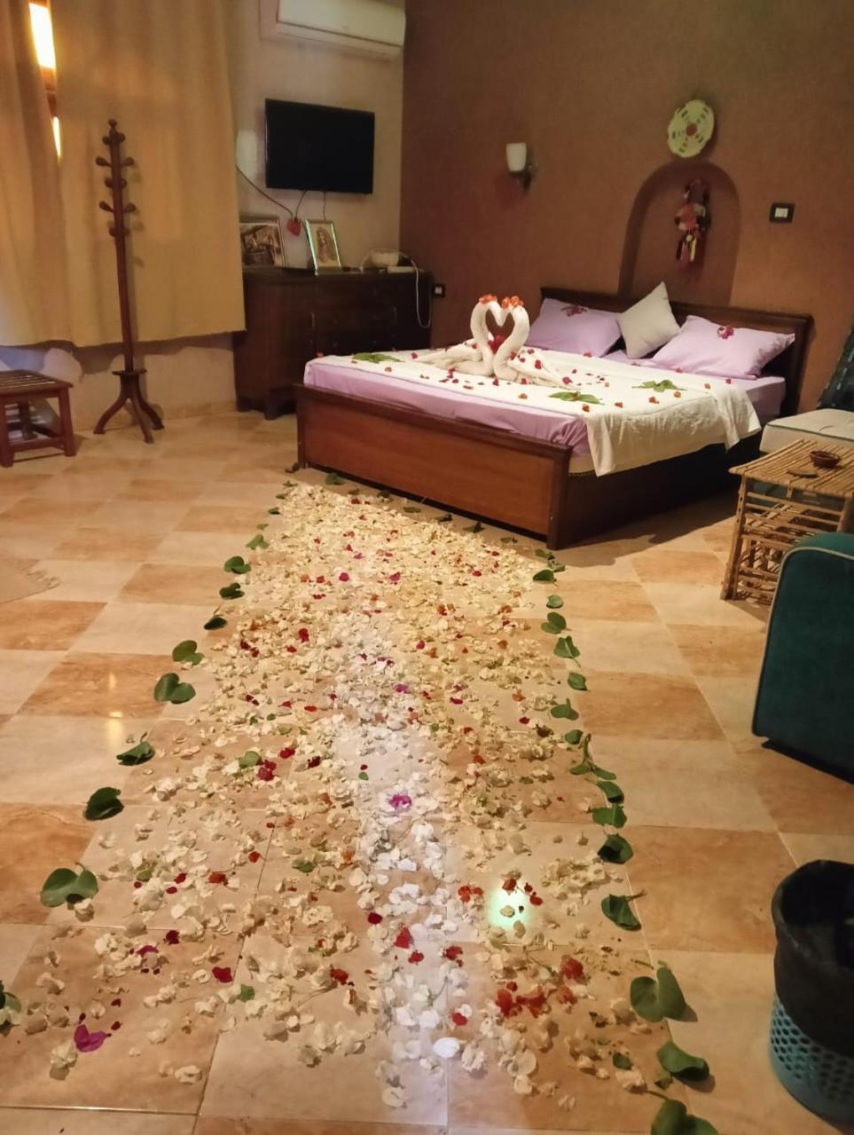 Panta Lodge Siwa بنتا لودج سيوة Siwa Oasis Экстерьер фото