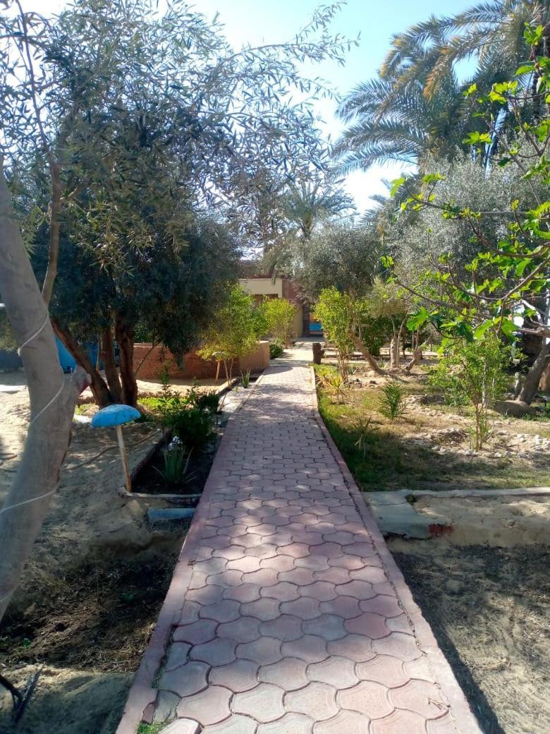 Panta Lodge Siwa بنتا لودج سيوة Siwa Oasis Экстерьер фото
