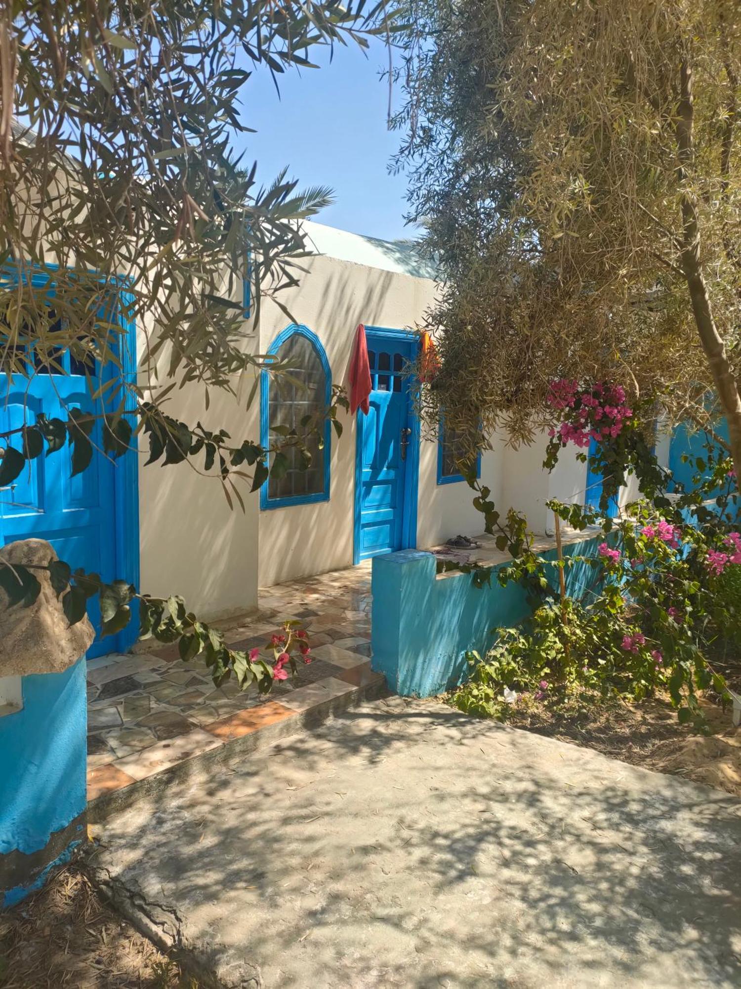 Panta Lodge Siwa بنتا لودج سيوة Siwa Oasis Экстерьер фото